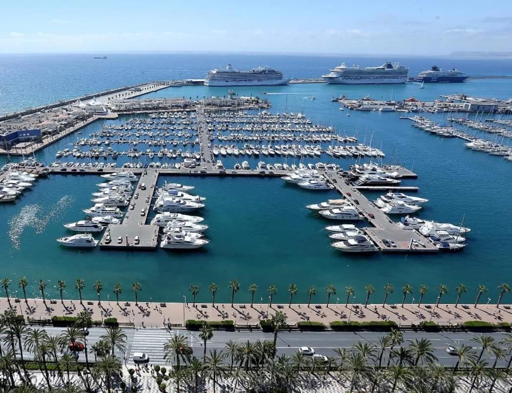 Charming Apartment In Alicante Near The Sea & City Center Esterno foto